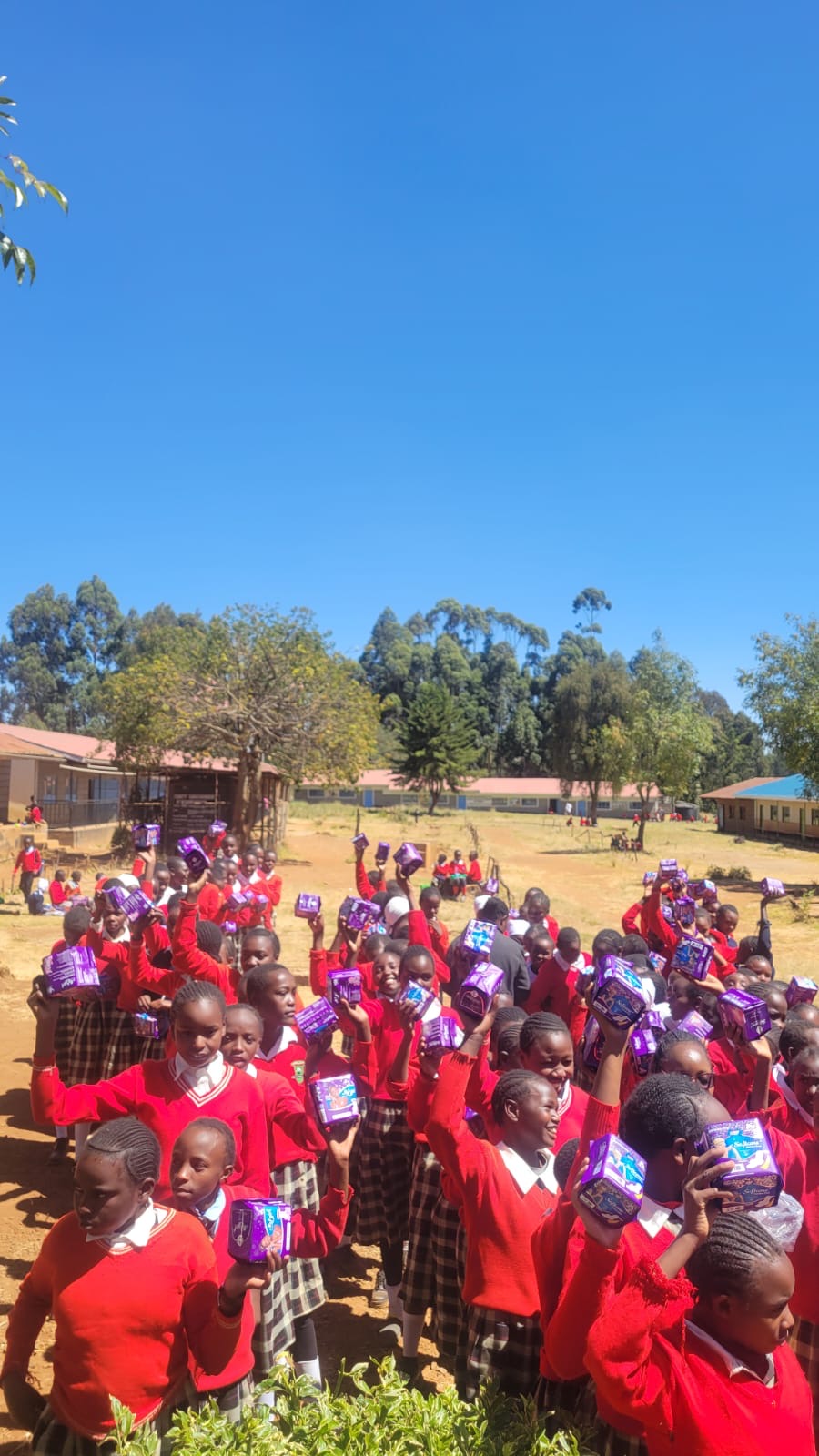 Second distribution photo 4